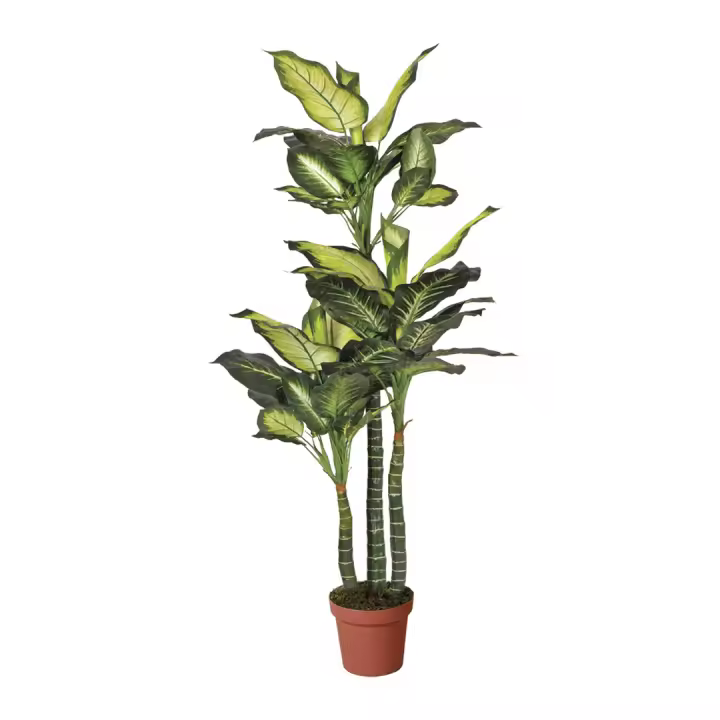 Catral | Planta Artificial Pata De Elefante 150 Cm | Plantas Artificiales Realistas | Decoración Para Hogar Y Oficina | Planta Artificial Grande | Perfecta Para Ambientes Modernos - 1