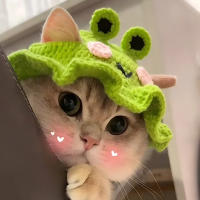 Gorro De Perro Y Gato Hecho a Mano Ajustable Gorro Tejido Para Cabeza De Perro Bebé Accesorio De Fiesta Y Fotografía - details 4