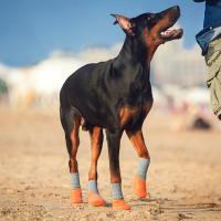 4Pcs Botas De Perro Protección De Patas Impermeables Antideslizantes Para Pequeños Medianos Y Grandes Mascotas Al Aire Libre - details 16