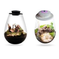 Terrario De Vidrio Para Plantas Con Luz De Crecimiento Micro Paisaje De Mojarra Y Suculentas Vaso De Decoración Para El Hogar - details 6