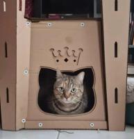 Cortador De Cartón Para Juguetes De Gatos 3D Impresión Dibujo Animado Herramienta Manual Para Rascadores De Gatos - details 2