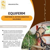 EQUIFERM, sistema digestivo saludable caballos, de Laboratorios Pino jeringa de 60 ml. - details 0
