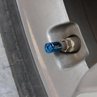 Tapones De Válvula De Neumáticos Anti-Robo De Aluminio Accesorios De Coche Para Automóviles Motocicletas Bicicletas - details 33
