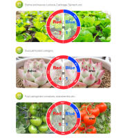 5M Luz De Crecimiento Para Plantas LED De Espectro Completo 5050 SMD Diodo Rojo Azul DC12V Para Flores Verduras Semillas De Plántulas - details 3