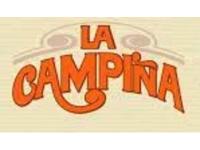 LA CAMPIÑA LECHE EN POLVO ENTERA ENRIQUECIDA CON VITAMINAS A, C, D HIERRO Y CALCIO 250G - details 1