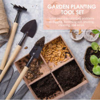 Juego De Herramientas De Jardinería 12PCS Para Plantas Miniatura Fairy Transplantación De Suculentas Y Bonsái Herramientas Manuales De Jardinería - details 5
