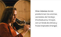 Ederra Verdejo - Vino blanco DO Rueda - Caja 6 botellas 75cl - details 4