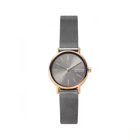 Reloj Skagen gris de acero Signature - 1