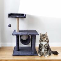 Árbol para gato gris 30x50x83cm, con plataformas, rascadores y zonas de descanso. Ideal para estimular el ejercicio, el juego y el descanso de tu felino. Materiales resistentes y seguros, perfecto para gatos de todos los tamaños - details 0