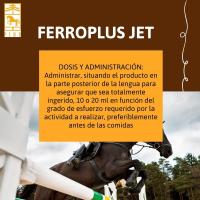 FERROPLUS JET, resistencia en pruebas de intensidad caballos de Laboratorios Pino. Jeringa de 20ml - details 0