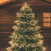 Luces Fae Led 10M Cable Verde Para Decoración De Navidad Arbol Bodas Dormitorio Hogar Exterior IP65 Material De Cobre Plástico LED - details 2
