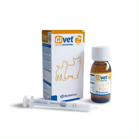 GIVET GEL GASTRO INTESTINAL 60 ML BIOIBERICA - 1