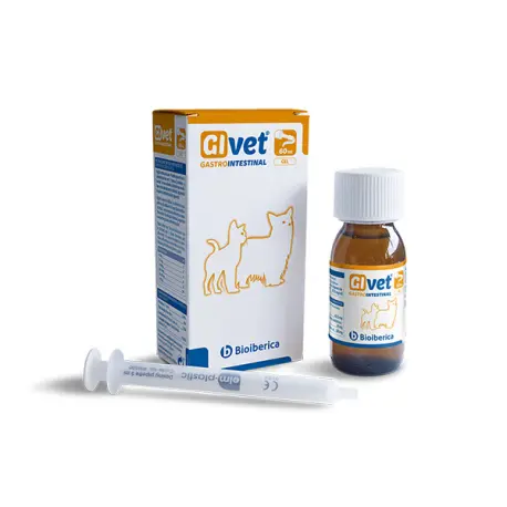 GIVET GEL GASTRO INTESTINAL 60 ML BIOIBERICA - 1