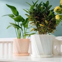 Maceta Creativa De Resina Para Plantas Verdes Y Gruesas Estilo Nórdico Sencilla Y Moderna Material De Plástico Polyresin - details 3