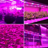 Luz De Crecimiento LED USB 5V 2835 Para Plantas Completo Espectro Lámpara De Cinta Para Vegetal Flor Estufa Cultivo 1M 2M 3M 4M 5M - details 6