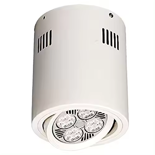 Plafón superficie redonda E27 blanco para bombillas PAR30 - 1