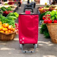 Gerimport Carro de compra con compartimento refrigerante, con nevera - Capacidad de 32 Litros, 34x28x94 cm - details 0