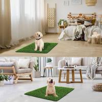 Thayba Alfombra de Césped para Perros 40 Mm 80 Cm X 100 Cm - Ignífuga, Impermeable y Fácil de Limpiar - details 1