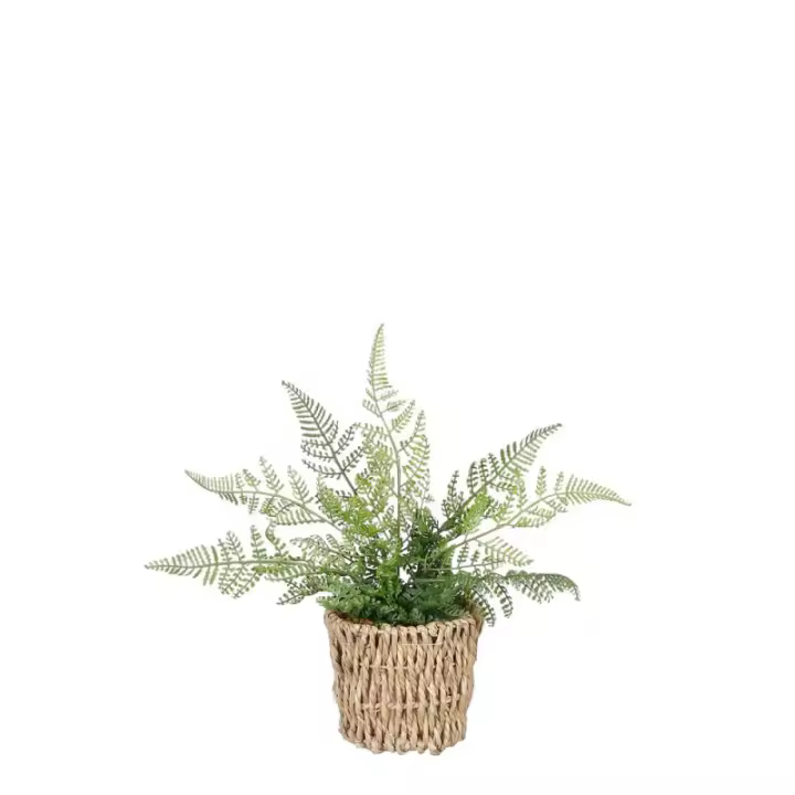 Planta Artificial Helecho Verde Oscuro 26cm Cesta - Ideal para Cualquier Rincón - 1