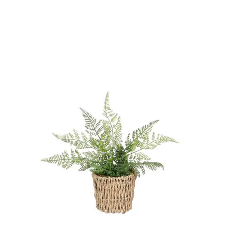 Planta Artificial Helecho Verde Oscuro 26cm Cesta - Ideal para Cualquier Rincón - 1