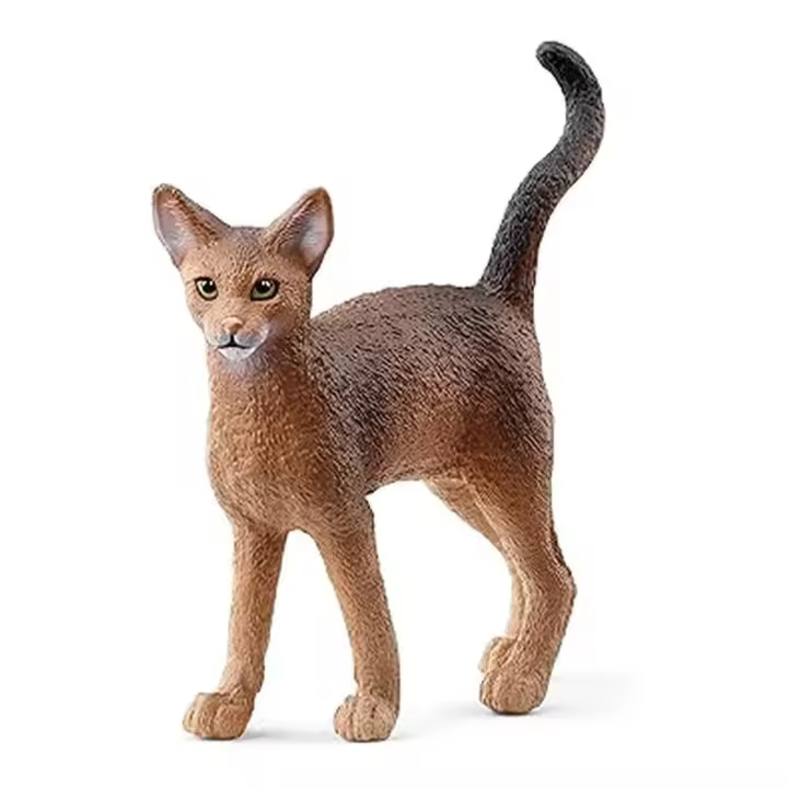 Schleich Gato Abisinio FARM WORLD - figura 13964 SCHLEICH - 1
