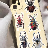 50PCS Pegatinas De Enciclopedia De Bugues Para La Enseñanza De Los Insectos Decoración De Plástico PET Para DIY Y Material De Libro - details 6