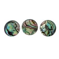 3pcs/set Botones De Dedo Para Trompeta Con Capa De Válvula De Concha De Abulón Colorful Accesorios Musicales Para Partes De Trompeta - details 0