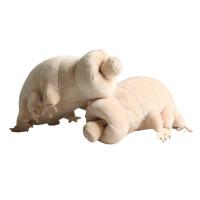 Muñeco De Peluche De 25cm De Tardigrado Lindo Juguetes Educativos Simulación De Criaturas Del Mar Para Niños Regalos De Cumpleaños - details 0