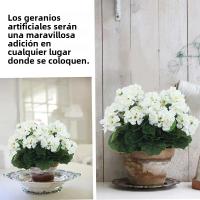 Plantas Artificiales Silken Begonia Para Bodas Decoración De Hogar Y Navidad Regalo DIY De Flores Silken En Vaso Para Ventanas Y Paredes - details 14