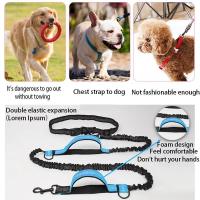 Correa Retráctil Reflectante Y Elástica Doble Para Perros Correa Portátil Para Running Correa De Cadena Para Mascotas Suministros Al Por Mayor - details 3