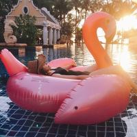 Flotador de flamenco para adultos, anillo de Nación para Playa, Juguetes Acuático, soporte para anillo de Nación, colchón de Aire, Cama con Relación de aspecto ergonómico - details 2