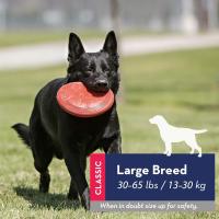 KONG Frisbee de Goma Classic Flyer para Perro Talla L - details 1