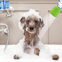 Cabezal De Ducha Para Perros Y Gatos Portátil De Silicona Accesorio De Agua Para Mascotas Ideal Para Paseos Camping Viajes a La Playa - details 0