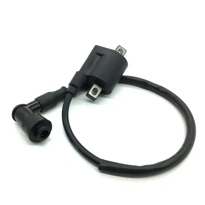 Bobina De Ignición Para Motocicleta 50cc 125cc 150cc 200cc D8TC CG ZJ Alta Presión Para ATV Cuatriciclo Bicicleta De Tierra - 1