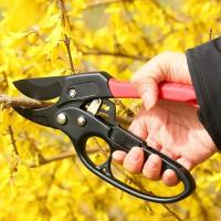 Tijeras De Poda Profesional Para Jardín Con Guardabarros De Mano Herramienta De Reparación De Ramas Gruesas Para Árboles Frutales - details 4