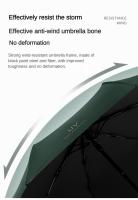 Paraguas De Viaje Multicolor Con 8 Ribas Resistente Al Viento Plegable Automático Para Protección Contra Lluvia Y Sol - details 5
