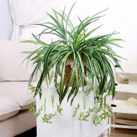HORO.ES Planta de araña 3PCS artificial de imitación de clorophytum Comosum para decoración del hogar, hotel, seda, 5 ramas, 35 hojas, 12 flores, 60 cm de largo colgante - details 4