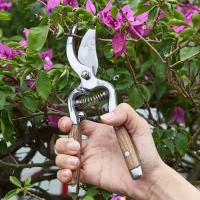 Tijeras De Podar De Madera 8.07 Pulgadas/20.5 Cm Herramienta De Jardín Para Recortar Rama De Fruta Tijeras De Codo - details 4