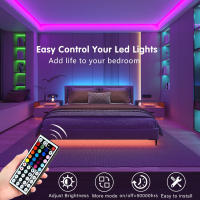 Tiras LED RGB De 10m Y 20m Con Control Remoto De 44 Teclas Para Decoración De Habitaciones Dormitorios Y Fiestas Luz De Pared Y TV - details 1