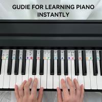 Guía De Notas Para Piano Iniciante Etiquetas Reutilizables De Tamaño Completo Para Teclado De 88 Teclas Etiquetas Removibles De Silicona - details 1