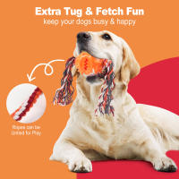Juguetes Para Masticar Para Perros Juguetes Interactivos De Limpieza De Dientes Anti Mordedura Con Bolas De Alimentos Que Se Escapan Productos Para Mascotas - details 15