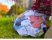 Paraguas automático de dibujos animados para mujer, sombrilla de viaje plegable con revestimiento negro, protector solar, garra de gato - details 4