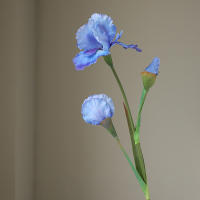 Rama De Iris Artificial Con 3 Cabezas Flores Silken Para Decoración De Mesa De Fiesta Decoración De Hogar Para Bodas Y Aniversarios - details 8