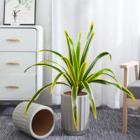 Gran Planta Artificial De Bambú 60cm Con 18 Hojas Hojas Verdes De Orchidáceas Para Decoración De Jardín Y Hogar Material Plástico - details 3
