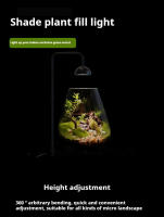 Lámpara De Crecimiento Para Plantas Interiores Con Timer Espectro Completo Lámpara Pequeña Para Luz De Cultivo En Escritorio Terrario De Vidrio - details 0