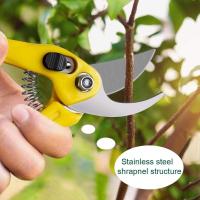 13 piezas con Tijeras, mini Rake y Pala, Tijeras de Podar para Jardín. - details 0
