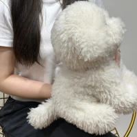 Muñeco De Peluche Realista Con Cabello Curvo Para Niños Y Bebés Juguetes De Animales Suaves Decoración De Habitación Regalo De Cumpleaños De Alta Calidad - details 10