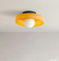 Luz De Techo Moderna Vintage Con Vidrio Multicolor Para Pasillo Cocina Dormitorio Iluminación Diaria Fuente De Alimentación AC Soporte De Montaje Montado En Superficie - details 0