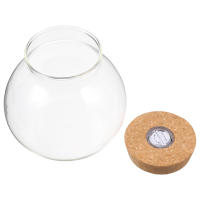Pequeño Terrario De Moss Artificial Para Acuario De Peces En Vaso De Vidrio Blanco Micro Paisaje Para Decoración De Oficina - details 3