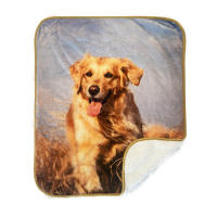 Manta Para Perros Impermeable Bucephalus Reversible Suave Y Lavable Protección Para Sofá Manta Para Gatos Y Perros Con Patrón De Animales - details 39